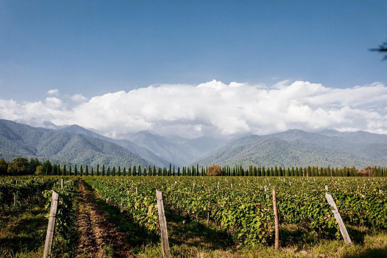 Chateau Artwine Art'ana 外观 照片